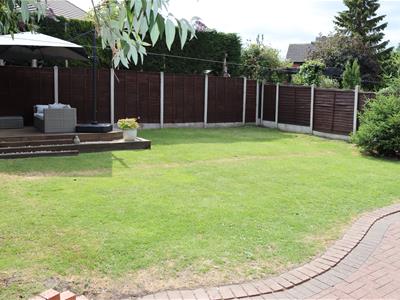 Picture 23